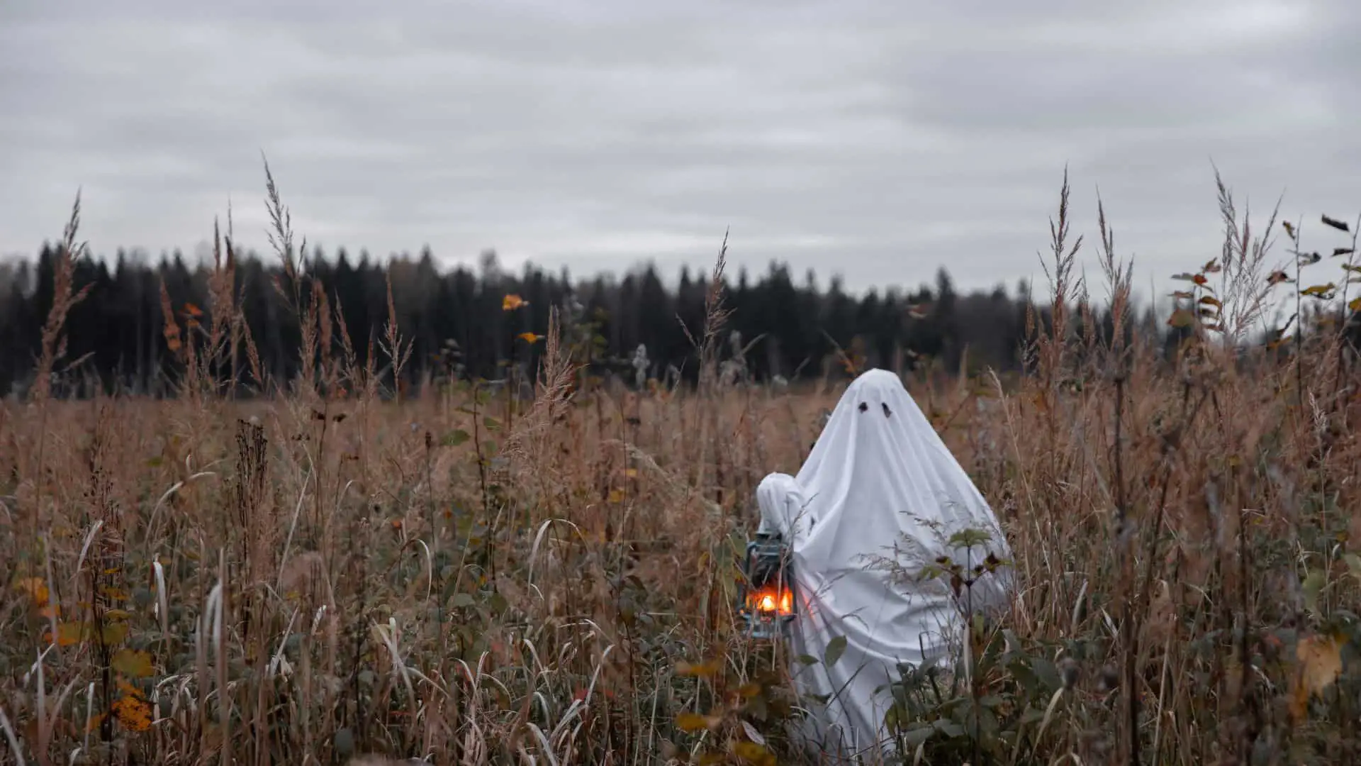 a ghost in the middle of a field