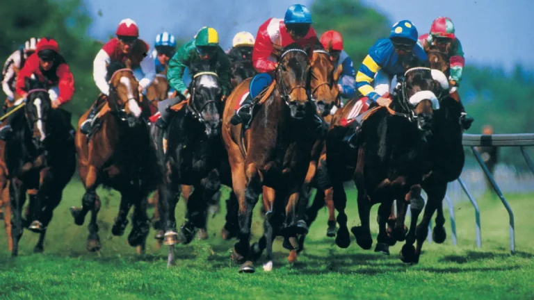 horses racing