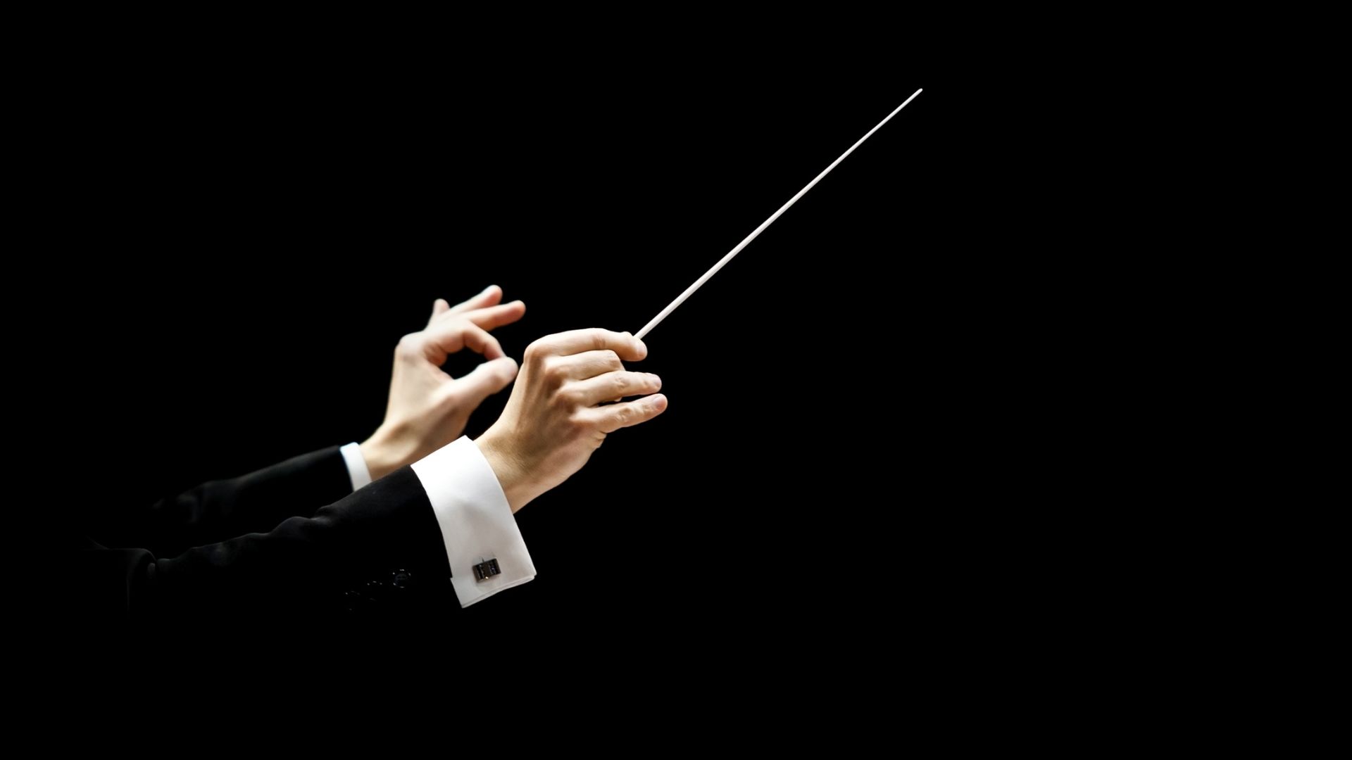 person conducting with stylus